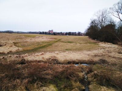 CYKLOTRASA č. 38 v k.ú. Přeštice