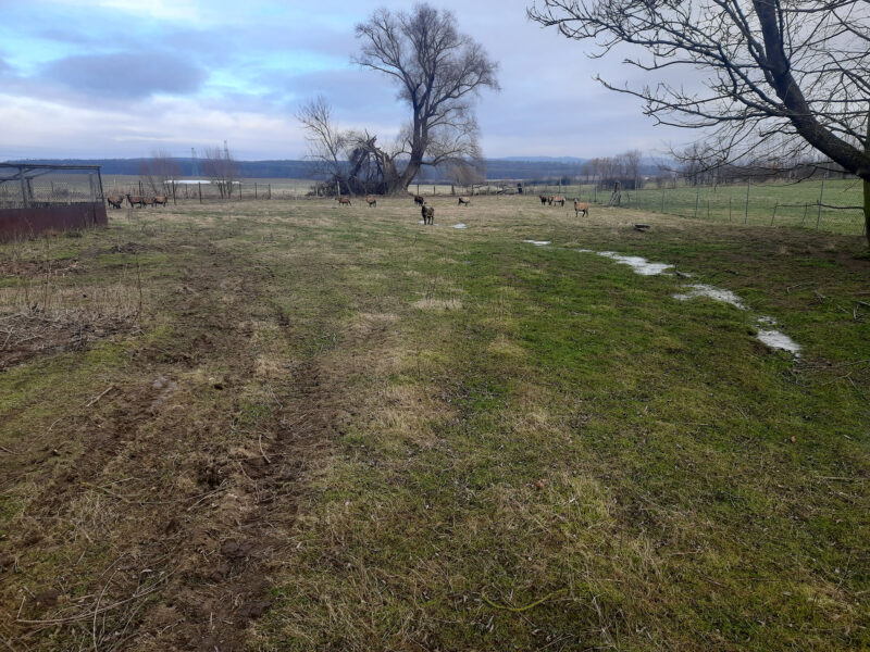 Dětská skupina Žerovice